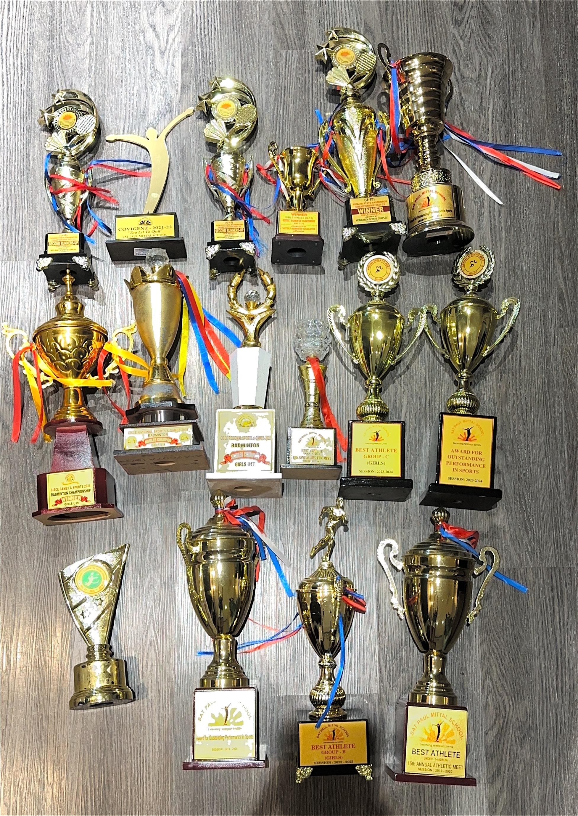 Trophies of Vaasvi Singal